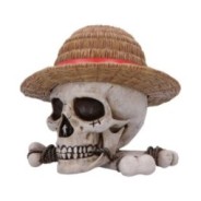 ONE PIECE - Luffy Jolly Roger - Boîte 17.5cm